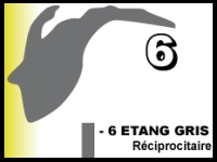 Etang gris