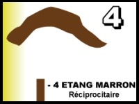 Etang marron 1