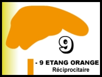 Etang orange