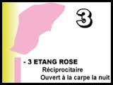 Etang rose 3