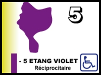 Etang violet 1